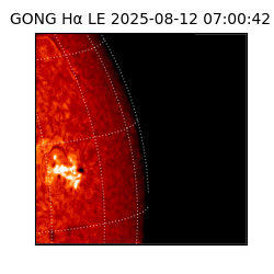 gong - 2025-08-12T07:00:42