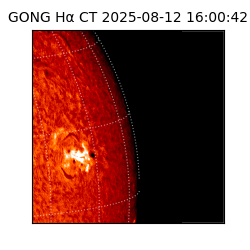 gong - 2025-08-12T16:00:42