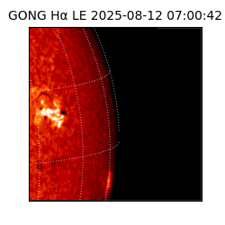 gong - 2025-08-12T07:00:42