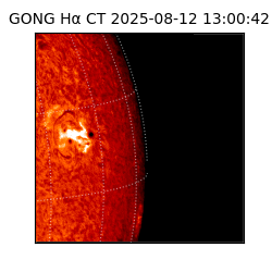 gong - 2025-08-12T13:00:42