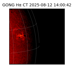 gong - 2025-08-12T14:00:42