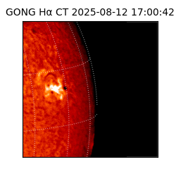 gong - 2025-08-12T17:00:42