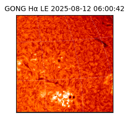 gong - 2025-08-12T06:00:42