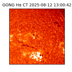 gong - 2025-08-12T13:00:42