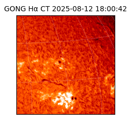 gong - 2025-08-12T18:00:42