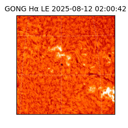 gong - 2025-08-12T02:00:42
