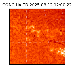 gong - 2025-08-12T12:00:22