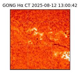 gong - 2025-08-12T13:00:42