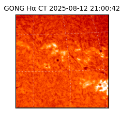 gong - 2025-08-12T21:00:42