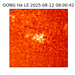 gong - 2025-08-12T08:00:42