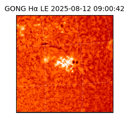 gong - 2025-08-12T09:00:42