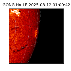 gong - 2025-08-12T01:00:42