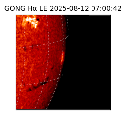 gong - 2025-08-12T07:00:42