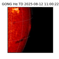gong - 2025-08-12T11:00:22