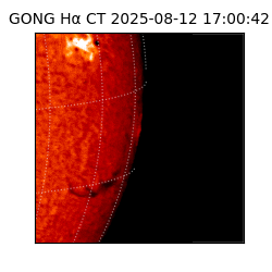 gong - 2025-08-12T17:00:42