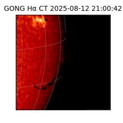 gong - 2025-08-12T21:00:42