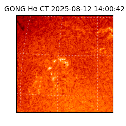 gong - 2025-08-12T14:00:42