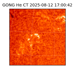 gong - 2025-08-12T17:00:42