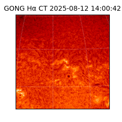 gong - 2025-08-12T14:00:42