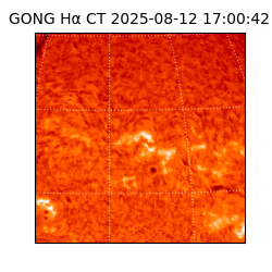 gong - 2025-08-12T17:00:42
