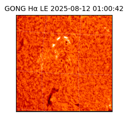 gong - 2025-08-12T01:00:42