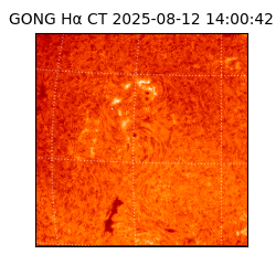 gong - 2025-08-12T14:00:42