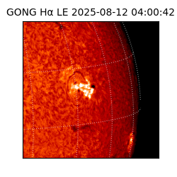 gong - 2025-08-12T04:00:42