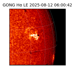 gong - 2025-08-12T06:00:42