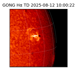 gong - 2025-08-12T10:00:22