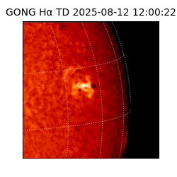 gong - 2025-08-12T12:00:22