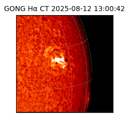 gong - 2025-08-12T13:00:42