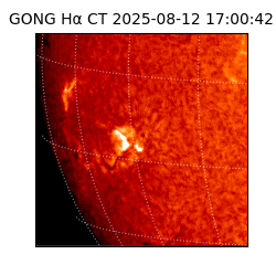 gong - 2025-08-12T17:00:42
