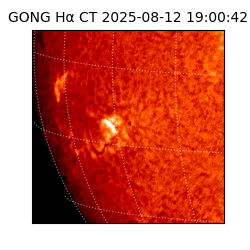 gong - 2025-08-12T19:00:42