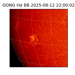 gong - 2025-08-12T22:00:02