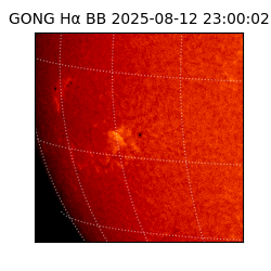 gong - 2025-08-12T23:00:02