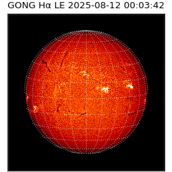 gong - 2025-08-12T00:03:42