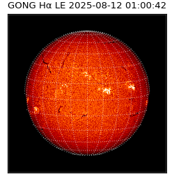 gong - 2025-08-12T01:00:42