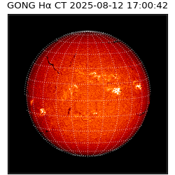 gong - 2025-08-12T17:00:42