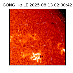gong - 2025-08-13T02:00:42
