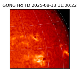 gong - 2025-08-13T11:00:22