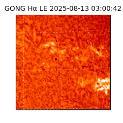 gong - 2025-08-13T03:00:42