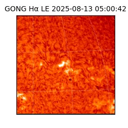gong - 2025-08-13T05:00:42