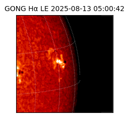 gong - 2025-08-13T05:00:42