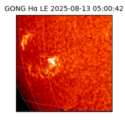 gong - 2025-08-13T05:00:42