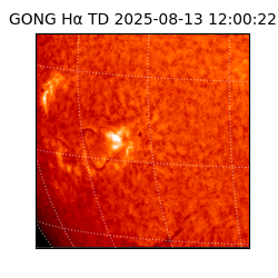 gong - 2025-08-13T12:00:22