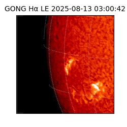 gong - 2025-08-13T03:00:42