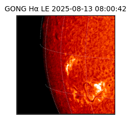 gong - 2025-08-13T08:00:42