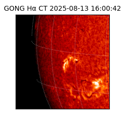 gong - 2025-08-13T16:00:42