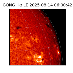 gong - 2025-08-14T06:00:42