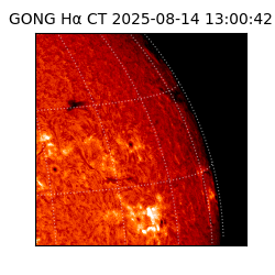 gong - 2025-08-14T13:00:42